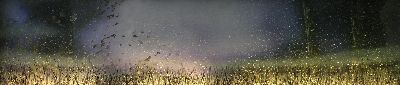 Kitchen Splashback Artwork.jpg